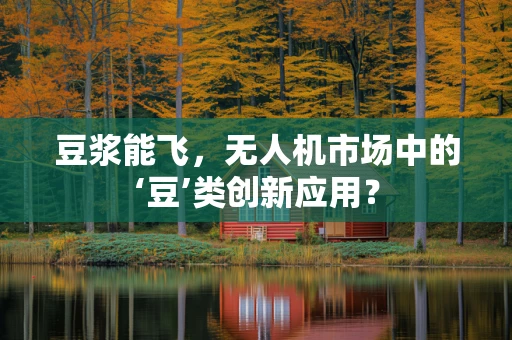 豆浆能飞，无人机市场中的‘豆’类创新应用？