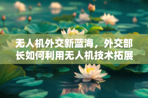 无人机外交新蓝海，外交部长如何利用无人机技术拓展国际合作？
