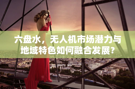 六盘水，无人机市场潜力与地域特色如何融合发展？