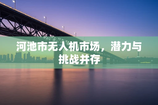 河池市无人机市场，潜力与挑战并存