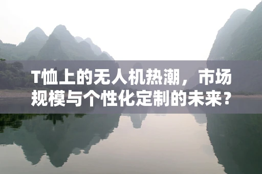 T恤上的无人机热潮，市场规模与个性化定制的未来？