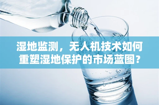 湿地监测，无人机技术如何重塑湿地保护的市场蓝图？
