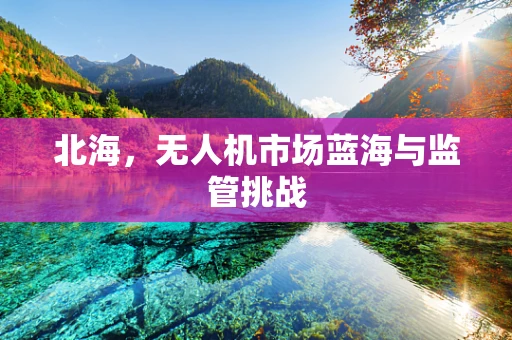 北海，无人机市场蓝海与监管挑战
