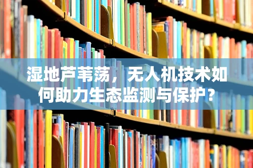 湿地芦苇荡，无人机技术如何助力生态监测与保护？