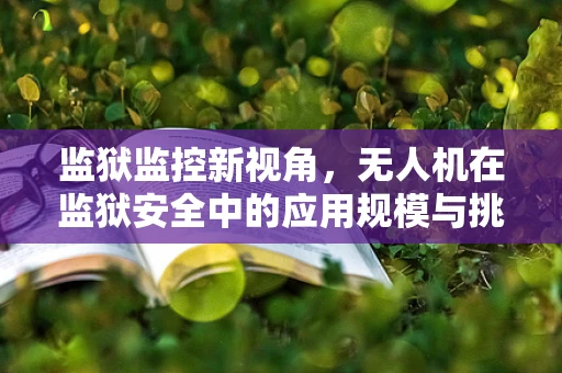 监狱监控新视角，无人机在监狱安全中的应用规模与挑战