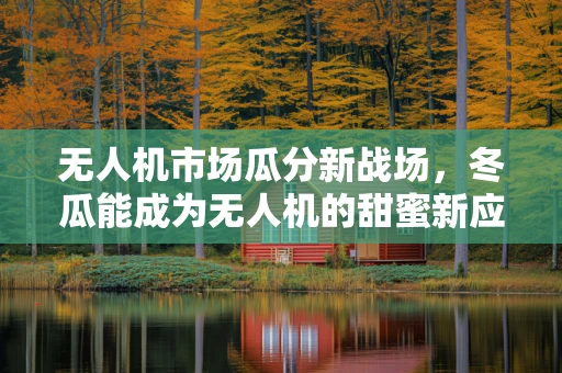 无人机市场瓜分新战场，冬瓜能成为无人机的甜蜜新应用吗？