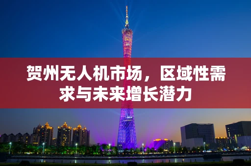 贺州无人机市场，区域性需求与未来增长潜力