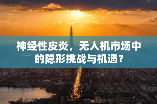 神经性皮炎，无人机市场中的隐形挑战与机遇？