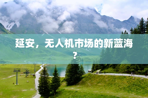延安，无人机市场的新蓝海？