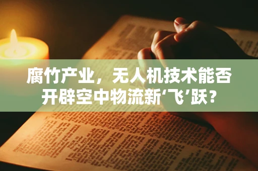 腐竹产业，无人机技术能否开辟空中物流新‘飞’跃？