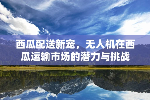 西瓜配送新宠，无人机在西瓜运输市场的潜力与挑战