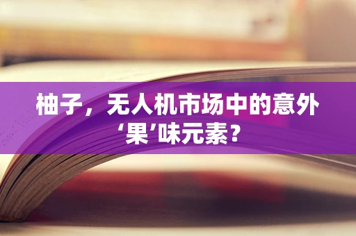 柚子，无人机市场中的意外‘果’味元素？