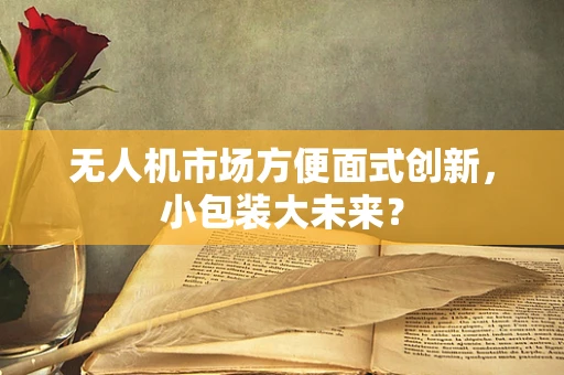 无人机市场方便面式创新，小包装大未来？