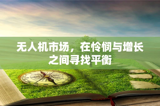 无人机市场，在怜悯与增长之间寻找平衡