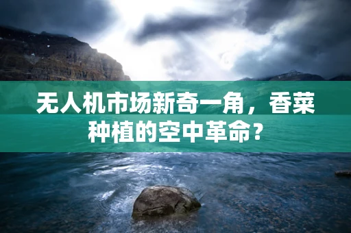 无人机市场新奇一角，香菜种植的空中革命？