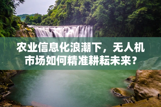 农业信息化浪潮下，无人机市场如何精准耕耘未来？