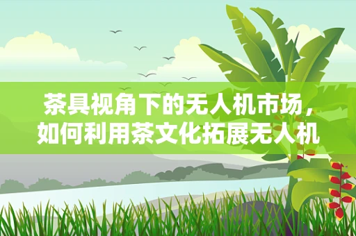 茶具视角下的无人机市场，如何利用茶文化拓展无人机应用新领域？