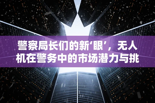 警察局长们的新‘眼’，无人机在警务中的市场潜力与挑战