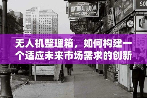 无人机整理箱，如何构建一个适应未来市场需求的创新解决方案？
