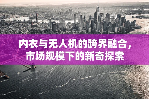 内衣与无人机的跨界融合，市场规模下的新奇探索