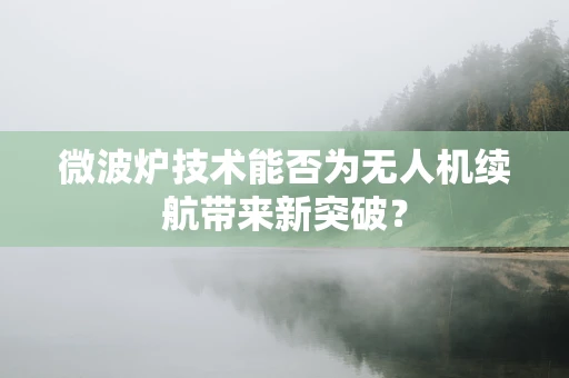 微波炉技术能否为无人机续航带来新突破？