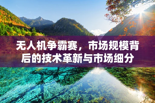 无人机争霸赛，市场规模背后的技术革新与市场细分