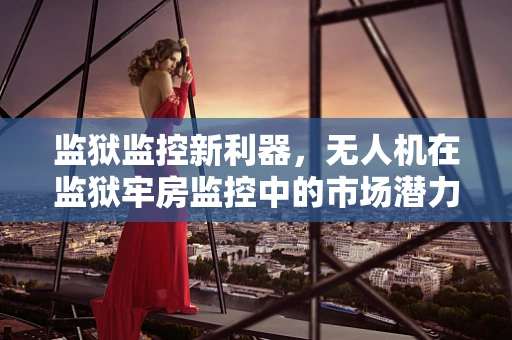 监狱监控新利器，无人机在监狱牢房监控中的市场潜力与挑战？