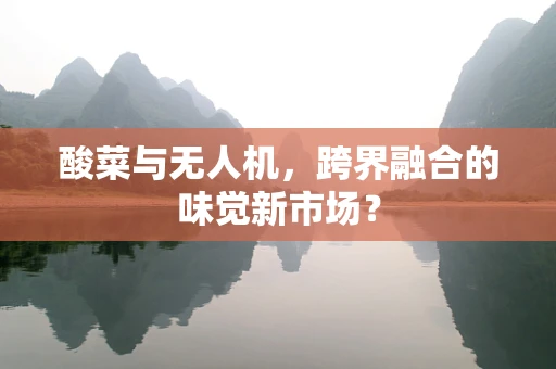 酸菜与无人机，跨界融合的味觉新市场？
