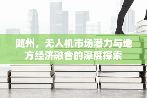 随州，无人机市场潜力与地方经济融合的深度探索