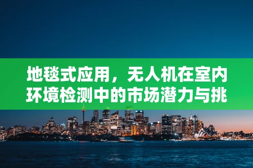 地毯式应用，无人机在室内环境检测中的市场潜力与挑战