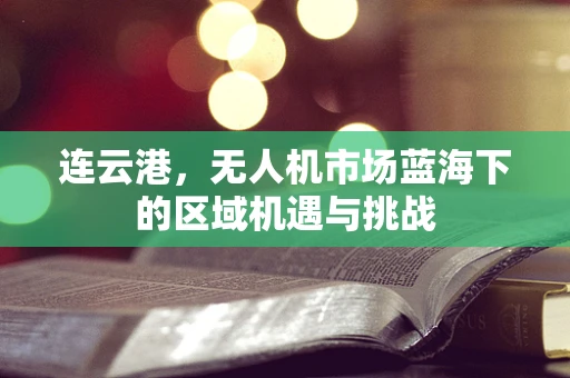 连云港，无人机市场蓝海下的区域机遇与挑战