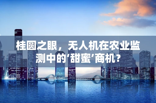 桂圆之眼，无人机在农业监测中的‘甜蜜’商机？