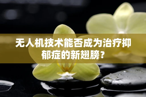 无人机技术能否成为治疗抑郁症的新翅膀？
