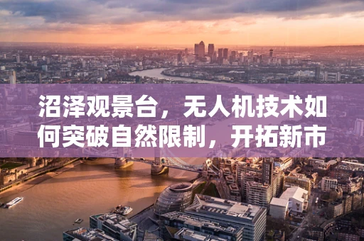 沼泽观景台，无人机技术如何突破自然限制，开拓新市场？