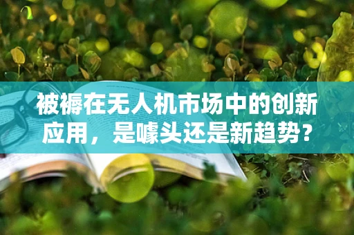 被褥在无人机市场中的创新应用，是噱头还是新趋势？