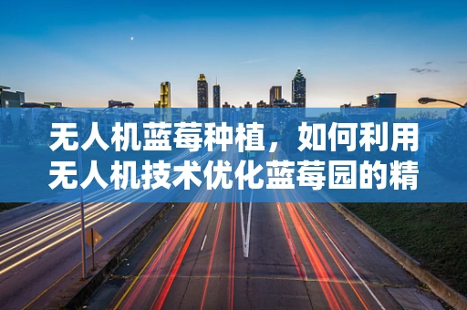 无人机蓝莓种植，如何利用无人机技术优化蓝莓园的精准施肥与监测？