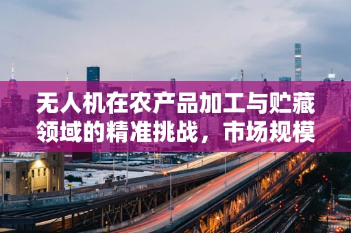 无人机在农产品加工与贮藏领域的精准挑战，市场规模与精准施策的平衡