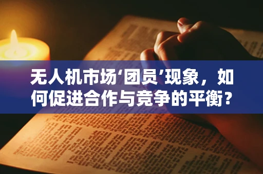 无人机市场‘团员’现象，如何促进合作与竞争的平衡？