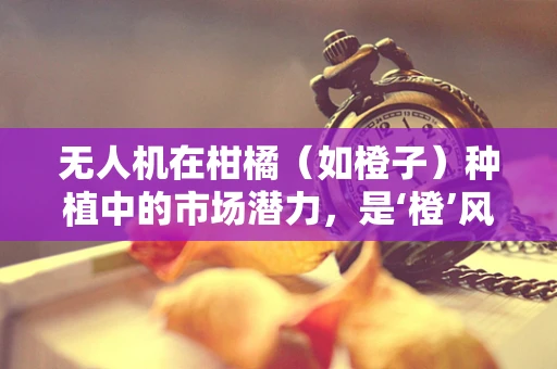 无人机在柑橘（如橙子）种植中的市场潜力，是‘橙’风破浪还是‘橙’果难觅？