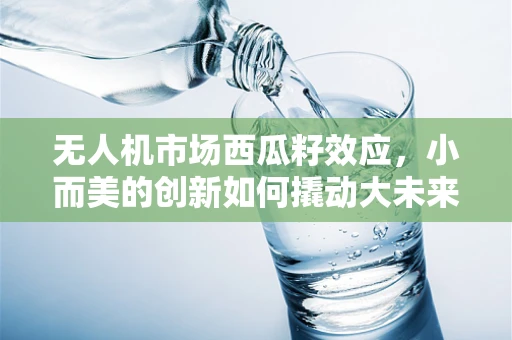 无人机市场西瓜籽效应，小而美的创新如何撬动大未来？