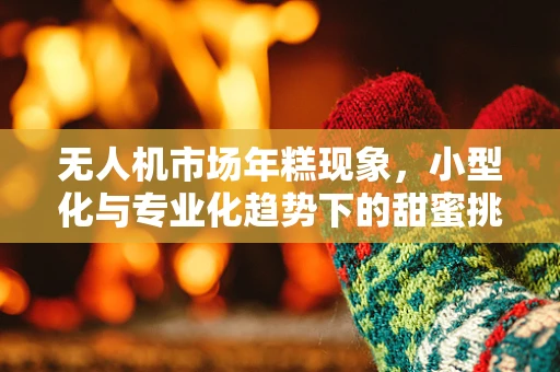无人机市场年糕现象，小型化与专业化趋势下的甜蜜挑战