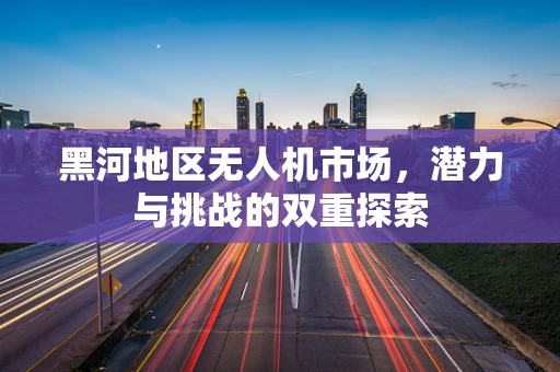 黑河地区无人机市场，潜力与挑战的双重探索