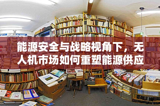 能源安全与战略视角下，无人机市场如何重塑能源供应链？