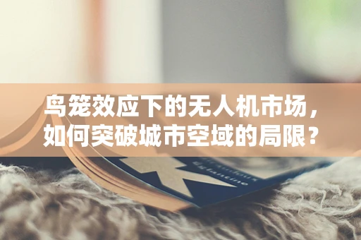 鸟笼效应下的无人机市场，如何突破城市空域的局限？