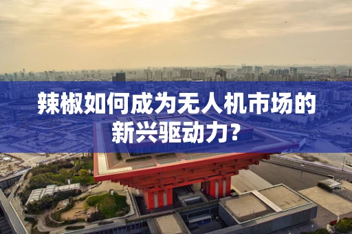 辣椒如何成为无人机市场的新兴驱动力？