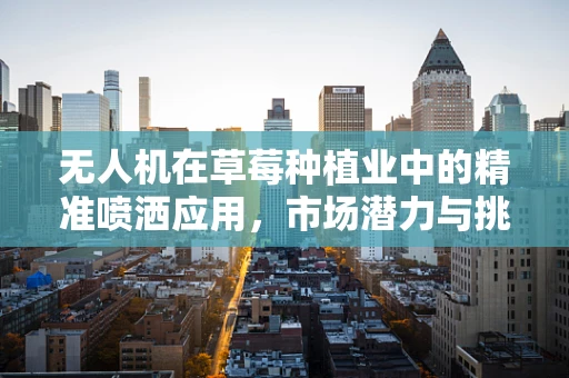 无人机在草莓种植业中的精准喷洒应用，市场潜力与挑战并存？