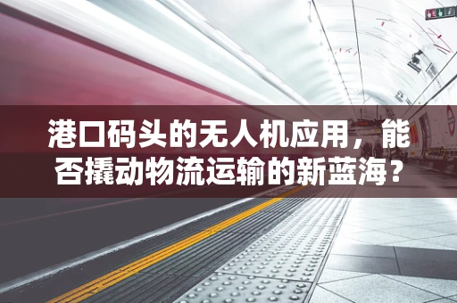 港口码头的无人机应用，能否撬动物流运输的新蓝海？