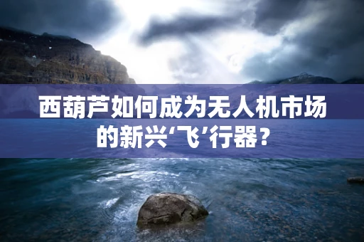 西葫芦如何成为无人机市场的新兴‘飞’行器？