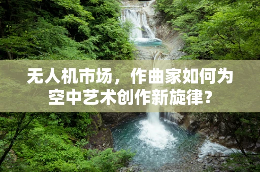 无人机市场，作曲家如何为空中艺术创作新旋律？