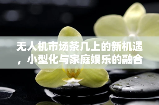 无人机市场茶几上的新机遇，小型化与家庭娱乐的融合趋势